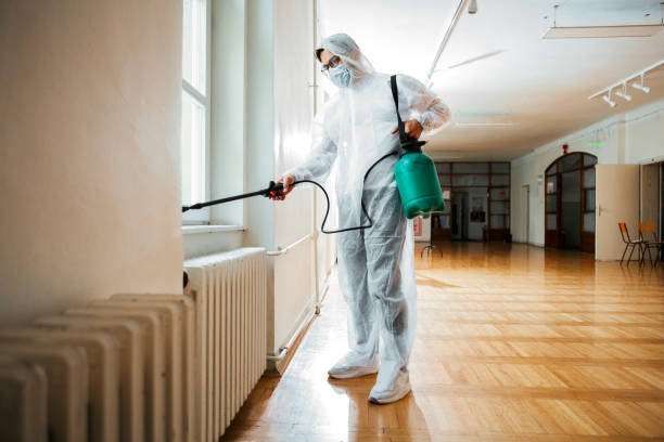 Best Rat Extermination Near Me  in Toledo, IA