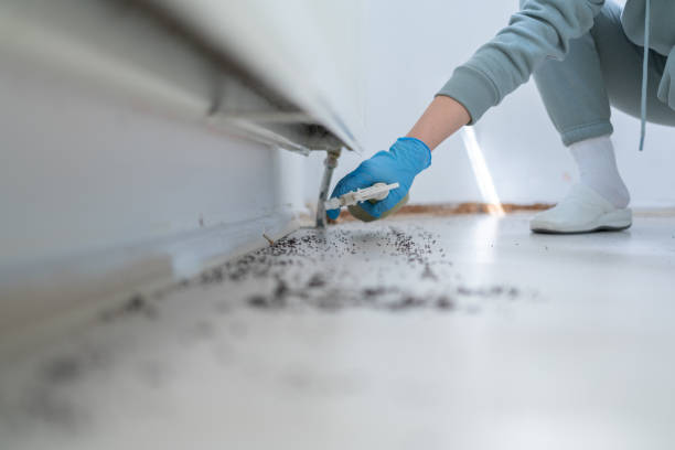 Best Emergency Pest Control  in Toledo, IA