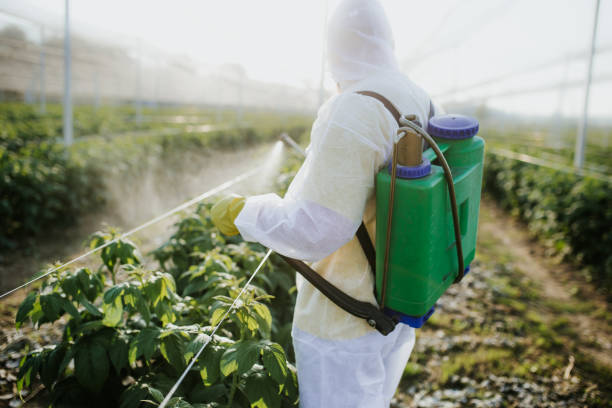Best Pest Prevention Services  in Toledo, IA